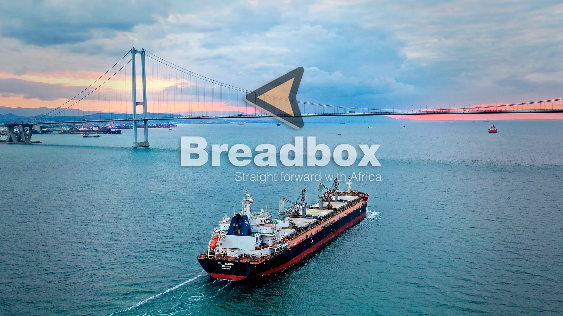 Breadbox drone çekimi — Osman Gazi Köprüsü ve yük gemisi